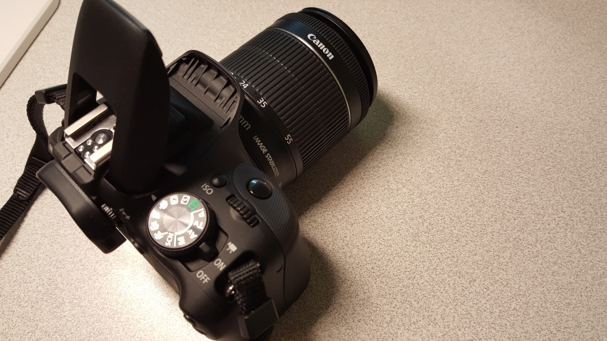 Getting the perfect shot might involve using a professional camera. A Canon camera gets the photography work done.